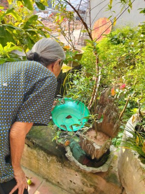 Tuyên truyền phòng chống sốt xuất huyết