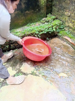 Trạm Y Tế phường Chương Mỹ phối hợp chiến dịch tổng vệ sinh môi trường phòng, chống dịch Sốt xuất huyết