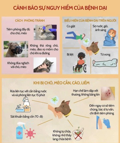 Trạm y tế phường Chương Mỹ khuyến cáo người dân chủ động phòng chống bệnh dại.